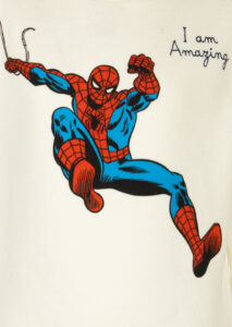 AI24-mc2-HUTTON20N20SPIDERMAN2010_8_P.jpg